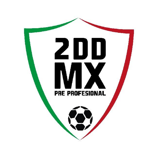 2DDMX