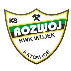 Rozwój katowice