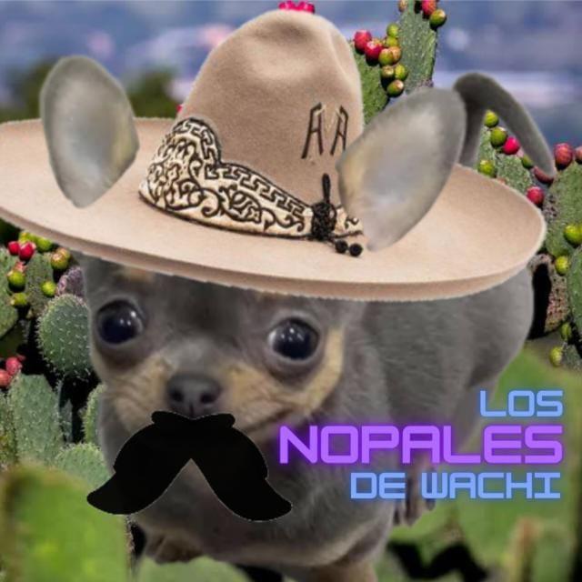 Nopales de Wachi