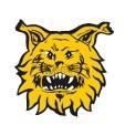 Ilves
