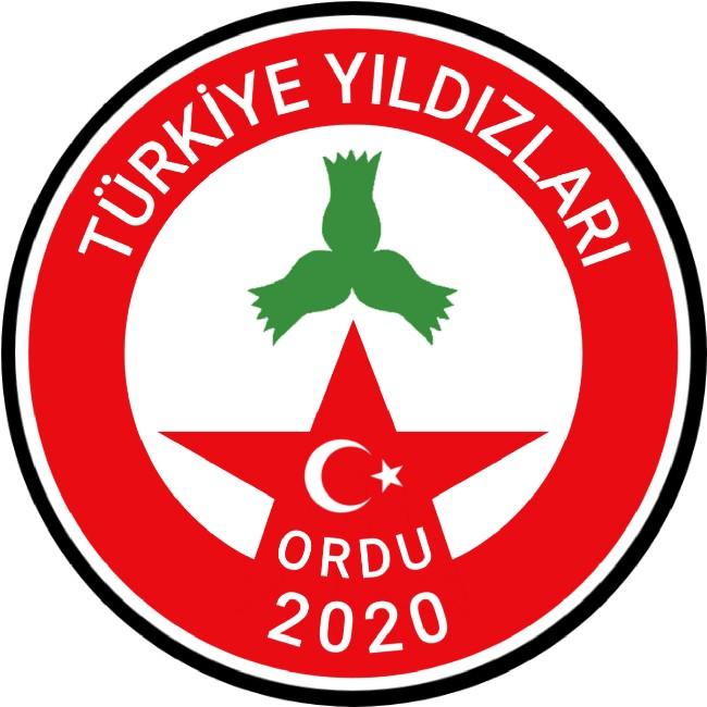 Türkiye Yıldızları