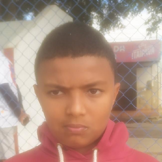 LUIZ VINÍCIUS SANTOS ALVES