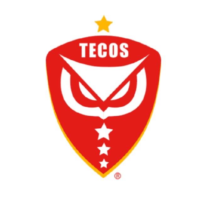 Estudiantes de Tecos