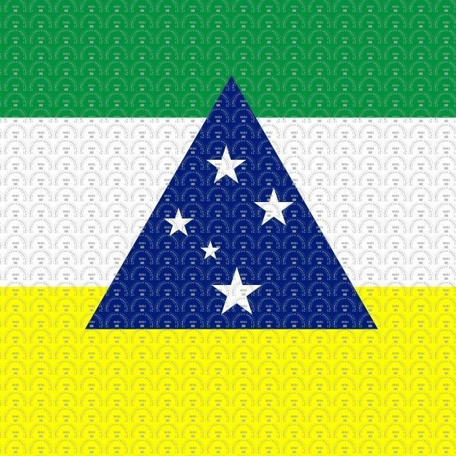 Tefé
