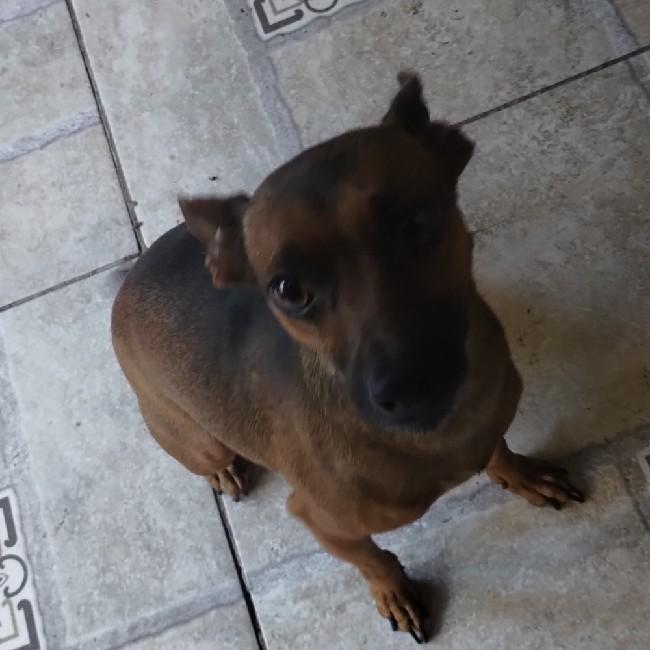 Rubi