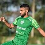 Vini Paulista