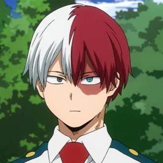 Shoto Todoroki