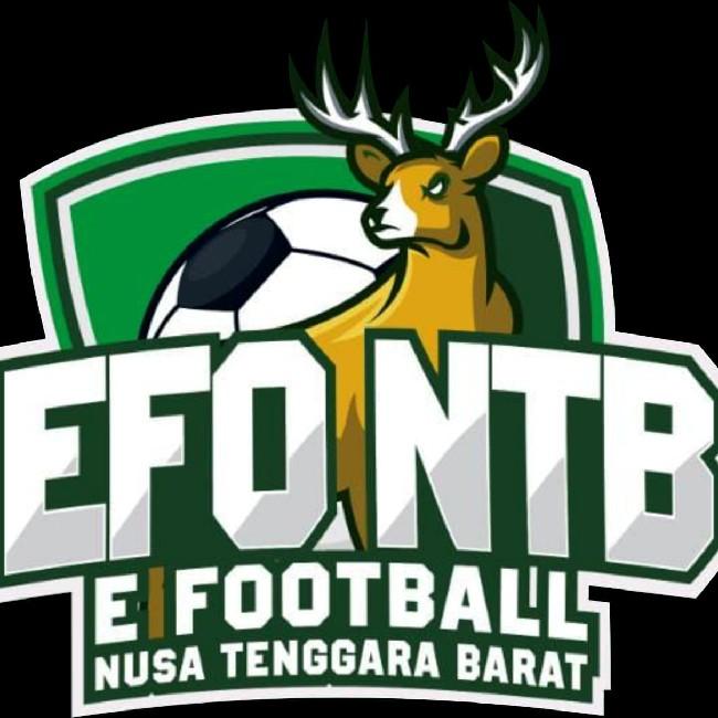 EFOOTBALL MOBILE NTB