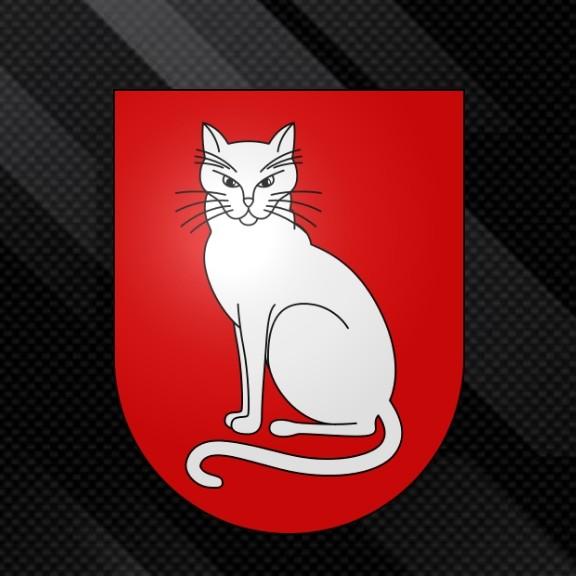 Gatos FC
