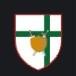 PALESTRA ITALY FC 22
