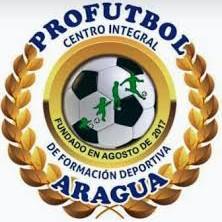 Pro Futbol