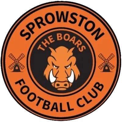 Sprowston Wasps