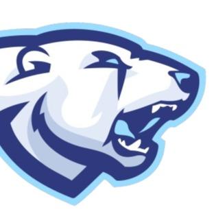 Minnesota Polar Bears