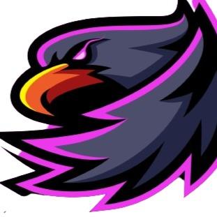 Portland Nighthawks