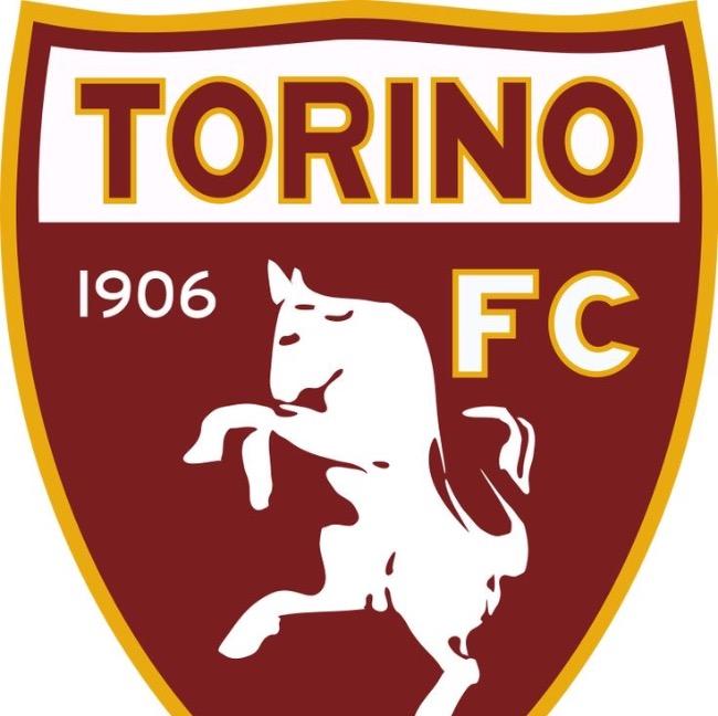 Торино details