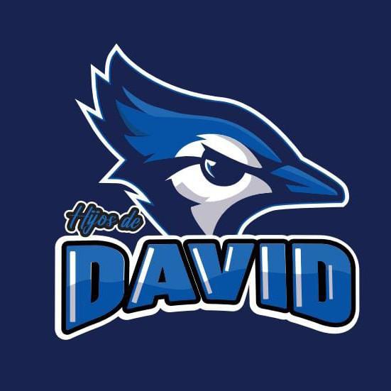 Hijos de David