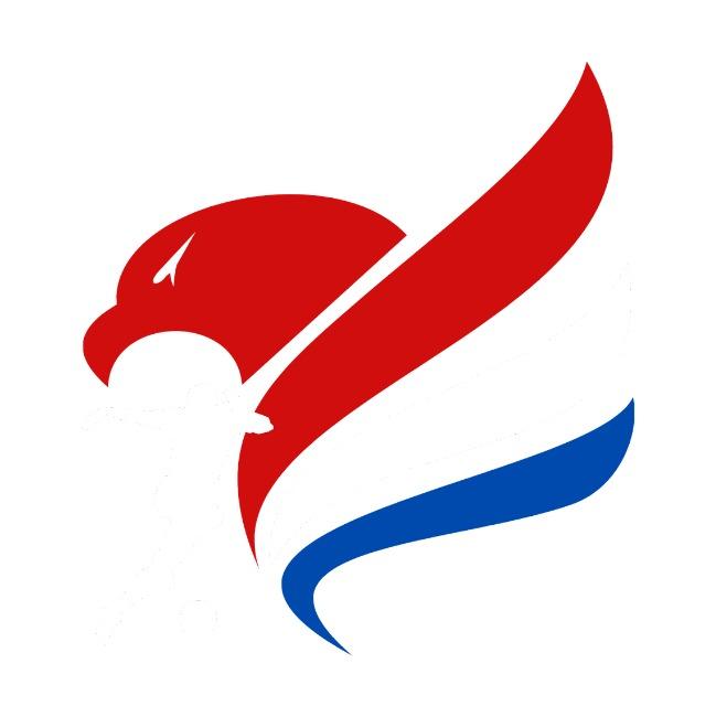 North American Soccer League S2