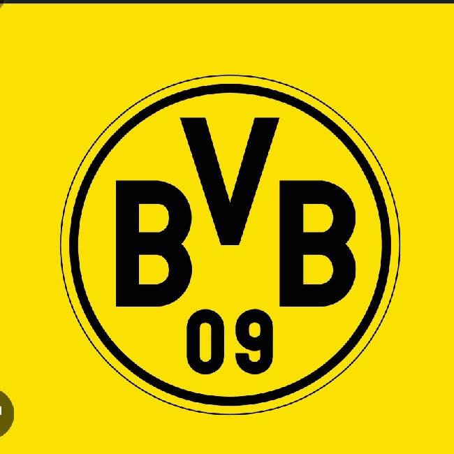 Borussia D
