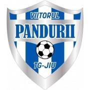 Viitorul Tg Jiu