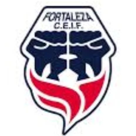 Fortaleza fc