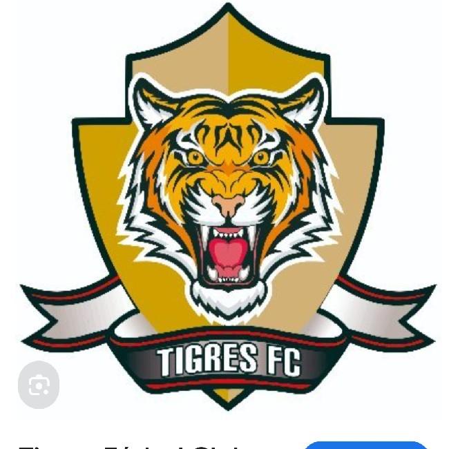 Tigres fc