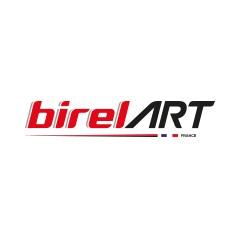 Birel ART Racing