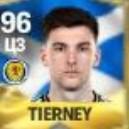 Tierney цз