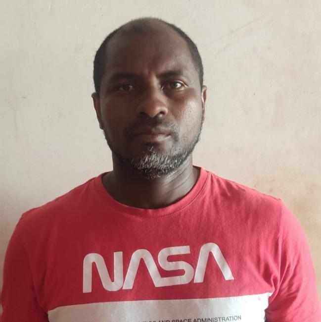 ALEX SANDRO FONSECA ARAÚJO