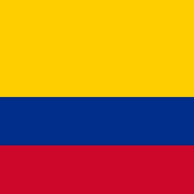 Carlos RODRIGUEZ