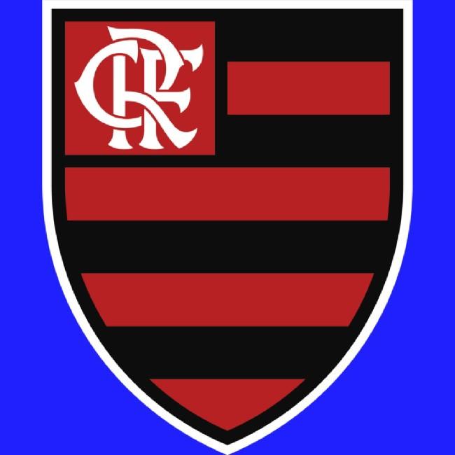 FLAMENGO MDL (B)