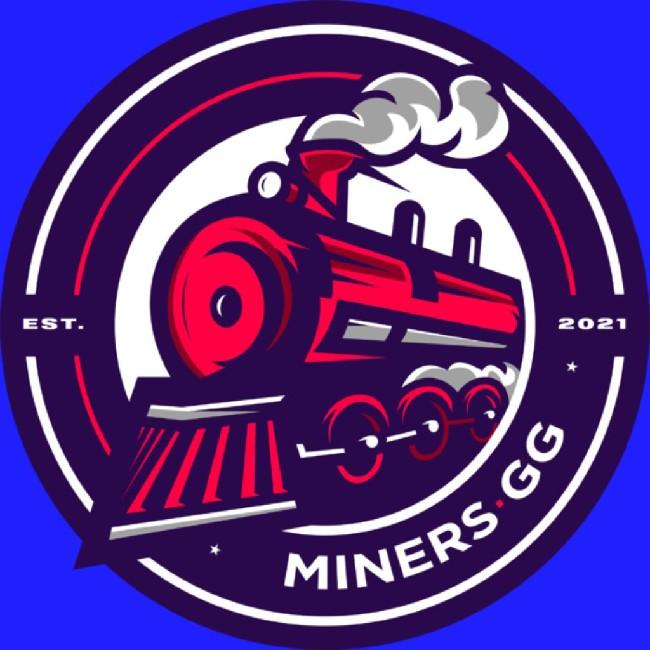NETSHOES MINERS (B)