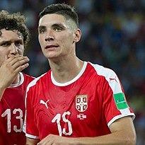 Nikola Milenkovic