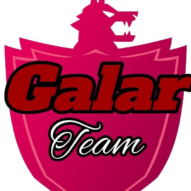 Galar Team