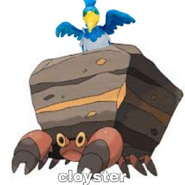 Cloyster