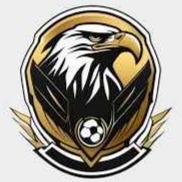 Phong FC
