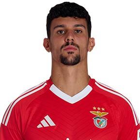 Tomás Araújo