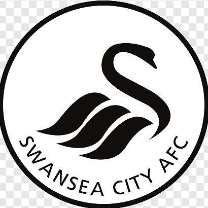 Swansea City