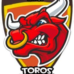 🇨🇱 Toros