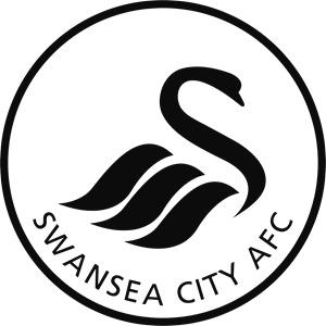 🇦🇷 Team Swansea City