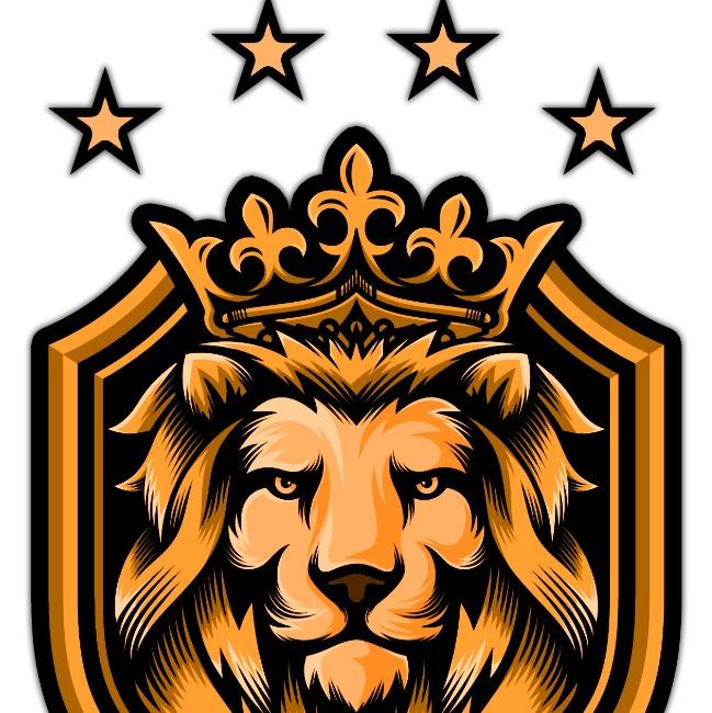 🇦🇷 Leones United Team