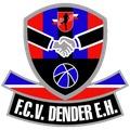 BEL | FCV Dender