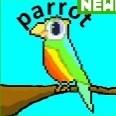 Parrot