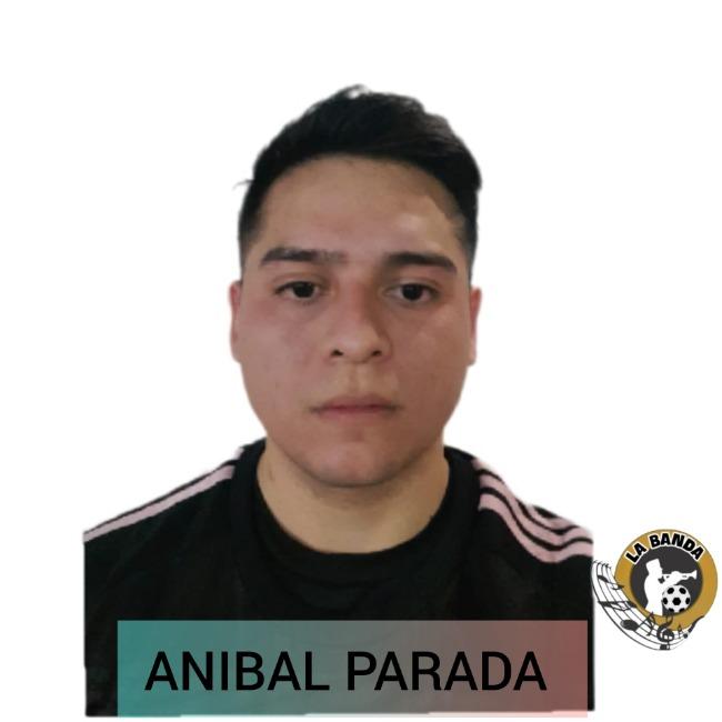 Aníbal parada