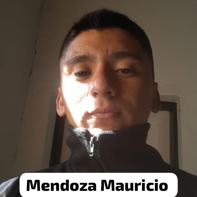 Mendoza Mauricio