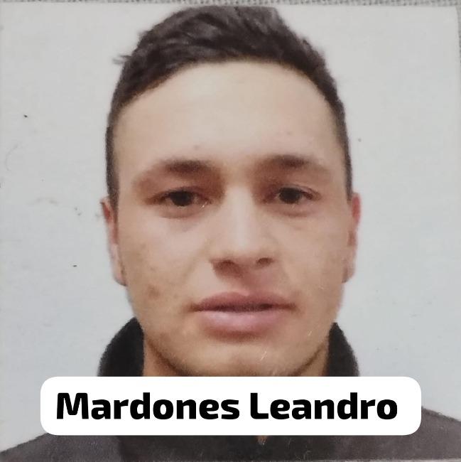 Mardones Leandro