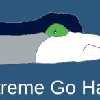 eXtreme Go Hawk