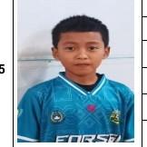 Muhamad Ilham Aulia