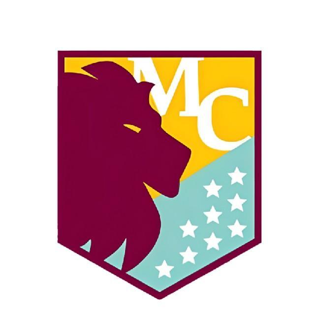 ASTON VILLA