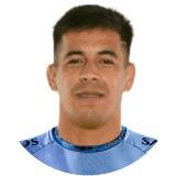 N.Fernandez