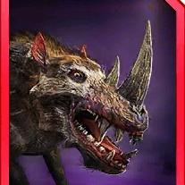 keratoporcus